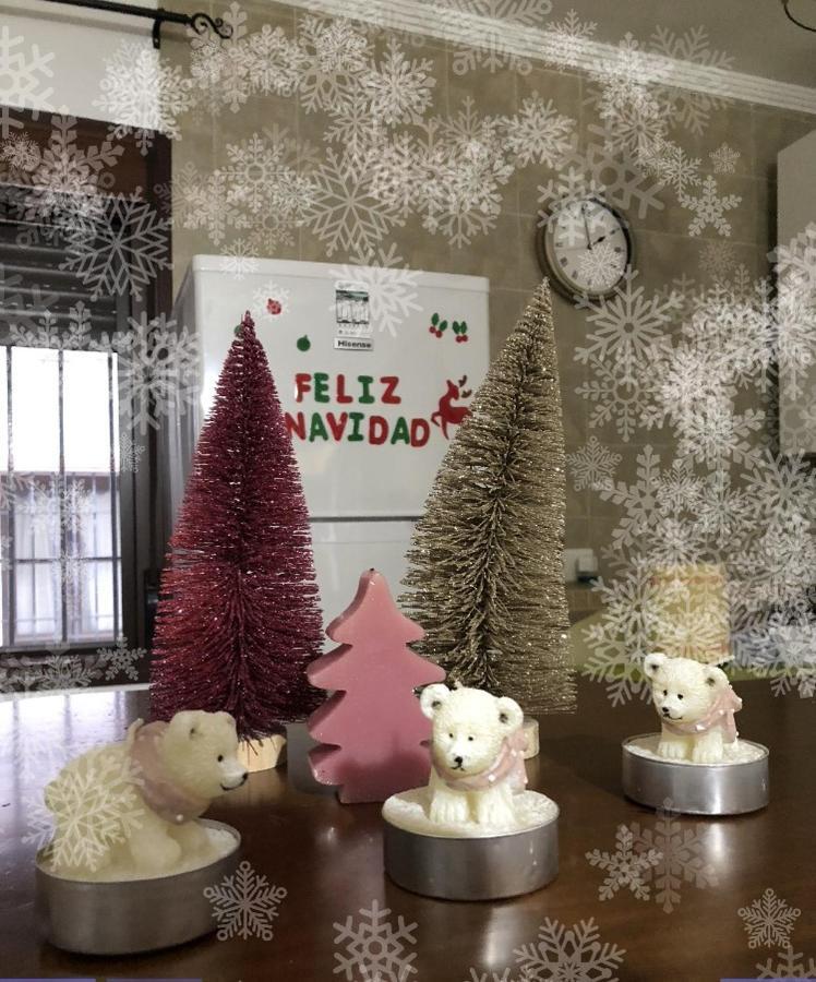 Apartamento Rural In&Ma-La Vida Es Hoy Grazalema Kültér fotó